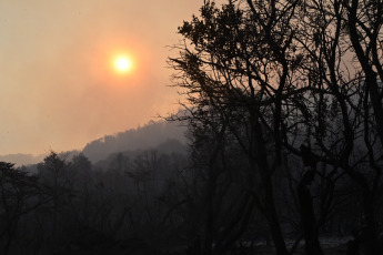 Chubut, Argentina.- The photos taken on February 6, 2024 show the fire in Los Alerces Park, which is advancing towards Esquel, causing the preventive evacuation of the residents of Río Percy, the upper part of the City of Esquel. The fire started on January 25 in Los Alerces National Park and then spread within provincial jurisdiction, destroying more than 3,500 hectares of native forest.