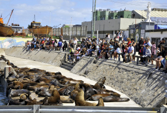 Mar del Plata, Argentina.- En las fotos tomadas el 13 de febrero del 2024, visitantes y turistas se despiden del fin de semana largo de Carnaval en Mar del Plata. El fin de semana largo de Carnaval registró uno de los índices de ocupación hotelera más altos de la temporada, con un lleno prácticamente total en destinos tradicionales de Carnaval -Jujuy, Entre Ríos y Corrientes- y niveles superiores al 90% para Mar del Plata y Villa Gesell, las dos ciudades con más plazas de alojamiento de toda la costa bonaerense.