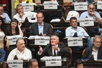 Buenos Aires, Argentina.- In the photos taken on February 2, 2024, the Chamber of Deputies continued for the third consecutive day with the treatment of the "Bases" bill. With 144 votes in favor and 109 against, the controversial Omnibus Law, a broad package of reforms that lost more than half of its articles, received “general” approval in the Chamber of Deputies, which will meet again on Tuesday.