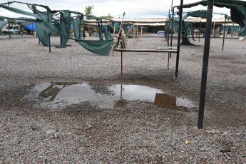 Mendoza, Argentina.- In the photos taken on February 29, 2024, a hail storm caused fallen trees, flooded streets, power outages and some homes suffered damage to their roofs and 20 people were treated for minor injuries in various areas. towns of Mendoza, official sources reported.