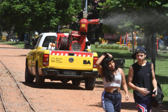 Buenos Aires, Argentina.- En las fotos tomadas el 19 de febrero del 2024, el aumento de mosquitos en la ciudad y la provincia de Buenos Aires, que llega a formar "nubes" en el aire, se trata de un "pico de abundancia" de la especie Aedes albifasciatus, conocida como "mosquito de inundación" y transmisora del virus de la Encefalitis Equina del Oeste (EEO), y su reducción puede demorar hasta 10 días, por lo que especialistas recomendaron intensificar el "uso de repelentes y mosquiteros".