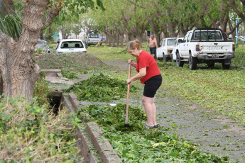 Mendoza, Argentina.- In the photos taken on February 29, 2024, a hail storm caused fallen trees, flooded streets, power outages and some homes suffered damage to their roofs and 20 people were treated for minor injuries in various areas. towns of Mendoza, official sources reported.