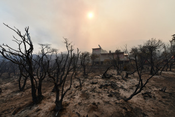 Chubut, Argentina.- The photos taken on February 6, 2024 show the fire in Los Alerces Park, which is advancing towards Esquel, causing the preventive evacuation of the residents of Río Percy, the upper part of the City of Esquel. The fire started on January 25 in Los Alerces National Park and then spread within provincial jurisdiction, destroying more than 3,500 hectares of native forest.