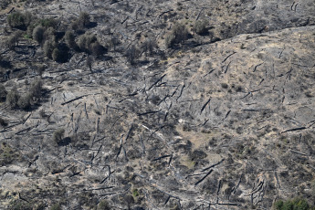 Chubut, Argentina.- In the photos taken on February 8, 2024, they show the forest fires that affect the Los Alerces National Park in Chubut. The fire affected approximately 6,715 hectares and, although alerts for strong winds are in effect in the area, the authorities in charge of the operation hope to be able to make progress in fighting the fire due to the rain and the drop in temperature.