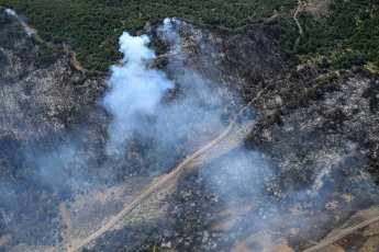 Chubut, Argentina.- In the photos taken on February 8, 2024, they show the forest fires that affect the Los Alerces National Park in Chubut. The fire affected approximately 6,715 hectares and, although alerts for strong winds are in effect in the area, the authorities in charge of the operation hope to be able to make progress in fighting the fire due to the rain and the drop in temperature.