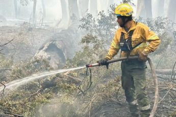 Patagonia, Argentina.- In the photos taken on February 20, 2024, firefighters fight forest fires in Nahuel Huapi Park. The Firefighters of the Argentine National Parks, said Monday, that the fires in Nahuel Huapi are close to being controlled and content, while in the allerces there were still active spotlights, with some 8,000 hectares of burned native forest, it was reported.