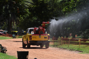 Buenos Aires, Argentina.- En las fotos tomadas el 19 de febrero del 2024, el aumento de mosquitos en la ciudad y la provincia de Buenos Aires, que llega a formar "nubes" en el aire, se trata de un "pico de abundancia" de la especie Aedes albifasciatus, conocida como "mosquito de inundación" y transmisora del virus de la Encefalitis Equina del Oeste (EEO), y su reducción puede demorar hasta 10 días, por lo que especialistas recomendaron intensificar el "uso de repelentes y mosquiteros".