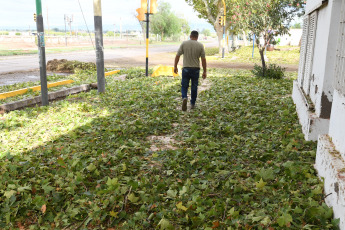 Mendoza, Argentina.- In the photos taken on February 29, 2024, a hail storm caused fallen trees, flooded streets, power outages and some homes suffered damage to their roofs and 20 people were treated for minor injuries in various areas. towns of Mendoza, official sources reported.