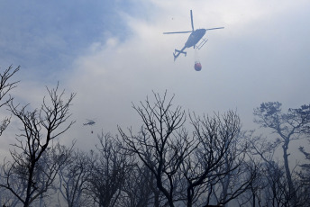 Patagonia, Argentina.- En las fotos tomadas el 9 de febrero del 2024, cuerpos de bomberos combaten los incendios forestales en Los Alerces. El Comando Unificado encargado de combatir el incendio en el Parque Nacional Los Alerces y sus alrededores, ubicado en la provincia de Chubut, informó que el fuego se mantiene activo en todo su perímetro. Según el último reporte, se estima que alrededor de 5.971 hectáreas han sido afectadas.