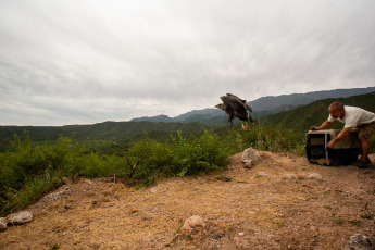 La Rioja, Argentina.- En las fotos tomadas el 21 de febrero del 2024, el Municipio de La Rioja liberó un águila coronada en conjunto con la Secretaría de Ambiente de la Provincia en el Mirador del Águila en el área Protegida del Cantadero. El ave, había sido incautada en una vivienda y carecía de la documentación legal según el convenio CITES -Convención sobre el Comercio Internacional de Especies Amenazadas de Fauna y Flora Silvestre-, por lo que se procedió a su intervención y posterior traslado al Centro de recuperación de Fauna Silvestre de La Rioja 'La Fombera' para su cuidado.