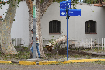 Mendoza, Argentina.- In the photos taken on February 29, 2024, a hail storm caused fallen trees, flooded streets, power outages and some homes suffered damage to their roofs and 20 people were treated for minor injuries in various areas. towns of Mendoza, official sources reported.