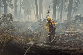 Patagonia, Argentina.- In the photos taken on February 20, 2024, firefighters fight forest fires in Nahuel Huapi Park. The Firefighters of the Argentine National Parks, said Monday, that the fires in Nahuel Huapi are close to being controlled and content, while in the allerces there were still active spotlights, with some 8,000 hectares of burned native forest, it was reported.