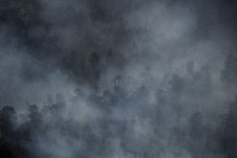 Chubut, Argentina.- The photos taken on February 7, 2024, show the forest fire in the Brazo Tristeza, in the Nahuel Huapi National Park. More than 50 brigade members and two helicopters continue working in the southern area of the Nahuel Huap National Park to contain the fire that broke out yesterday, but the area is affected by "a lot of wind", which constitutes "an unfavorable factor" and encourages behavior more extreme of the fire.