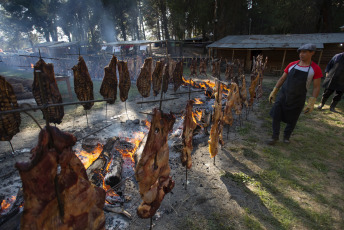 Chubut, Argentina.- En las fotos tomadas el 4 de febrero del 2024, turistas nacionales y extranjeros disfrutaron de la segunda jornada de la tradicional Fiesta Nacional del Asado en la localidad chubutense de Cholila, donde el sol, una de las mejores carnes argentinas, la música y la alegría de la gente se reunieron en torno a la celebración.