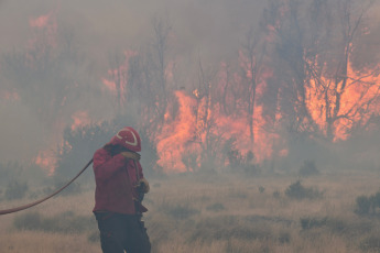 Patagonia, Argentina.- En las fotos tomadas el 7 de febrero del 2024, cuerpos de bomberos intentan sofocar las llamas del incendio forestal que afecta el Parque Nacional Los Alerces -declarado Patrimonio Mundial de la Unesco por su biodiversidad-, donde desde el 25 de enero arden miles de hectáreas de floresta nativa, en un incendio aún no controlado que el gobierno provincial presume comenzó de forma intencional.