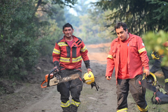 Chubut, Argentina.- En las fotos tomadas el 6 de febrero del 2024, muestra el incendio en el Parque Los Alerces, que avanza hacia Esquel, provocando la evacuación de forma preventiva de los vecinos de Río Percy, la parte alta de la Ciudad de Esquel. El incendio se inició el 25 de enero en el Parque Nacional Los Alerces y luego se extendió dentro de jurisdicción provincial, arrasando con más de 3.500 hectáreas de bosque nativo.