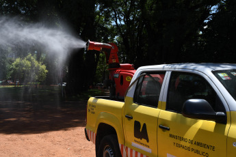 Buenos Aires, Argentina.- En las fotos tomadas el 19 de febrero del 2024, el aumento de mosquitos en la ciudad y la provincia de Buenos Aires, que llega a formar "nubes" en el aire, se trata de un "pico de abundancia" de la especie Aedes albifasciatus, conocida como "mosquito de inundación" y transmisora del virus de la Encefalitis Equina del Oeste (EEO), y su reducción puede demorar hasta 10 días, por lo que especialistas recomendaron intensificar el "uso de repelentes y mosquiteros".