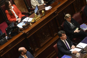 Buenos Aires, Argentina- En las fotos, el jefe de Gabinete, Nicolás Posse, realizó el primer informe de gestión ante el Senado el 15 de mayo del 2024. Posse, proyectó una inflación de 139% y un dólar a $1016 para fines del 2024, y tras una exposición de 42 minutos, el funcionario respondió las consultas de los legisladores que ahondaron sobre la insatisfacción de las respuestas escritas que le enviaron previamente.