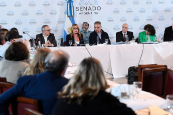 Buenos Aires, Argentina.- In the photos, Nancy Pazos, representing the Periodistas Argentinas organization, spoke in the Senate during the committee debate on the Bases Law on May 16, 2024. In her speech in the Blue Room, the journalist Pazos warned, "We are in danger of converting information into propaganda by law...We are in danger when in the coverage of events and mobilizations they shoot gas and rubber bullets at us." The debate in the commission of the Base Law concluded on Thursday at night in the Senate, without the ruling party of La Libertad Avanza being able to advance a ruling to be able to bring the project to the floor.