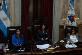 Buenos Aires, Argentina.- En la foto del 12 de junio de 2024, el debate de la Ley Bases en el Senado. El Gobierno decidió ceder a la presión y eliminó de la lista de privatizaciones a las empresas estatales Aerolíneas Argentina, Correo Argentino y RTA. Además, el oficialismo también eliminó el capítulo previsional, por lo que los eventuales beneficiarios podrán seguir jubilándose sin contar con 30 años de aportes.