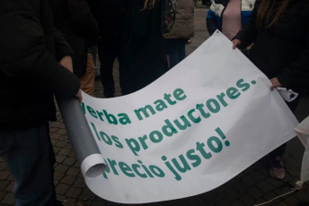 Buenos Aires, Argentina.- En las fotos, productores yerbateros de la provincia de Misiones plantaron yerba frente al Obelisco, para llamar la atención sobre la crisis en el sector, tras reunirse con autoridades nacionales en la Casa Rosada el 5 de junio del 2024. Los productores reclaman se designe una autoridad en el INYM (Instituto Nacional de la Yerba Mate) para poder “regular” precios, y que cese la importación del producto desde Brasil y el Paraguay.