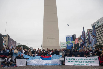 Buenos Aires, Argentina.- In the photos, yerbate producers from the province of Misiones planted yerba in front of the Obelisk, to draw attention to the crisis in the sector, after meeting with national authorities at the Casa Rosada on June 5, 2024. The producers demand that an authority be appointed in the INYM (National Institute of Yerba Mate) to be able to “regulate” prices, and that the import of the product from Brazil and Paraguay cease.