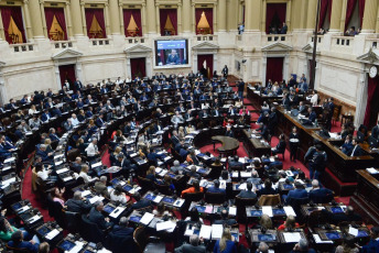 Buenos Aires, Argentina.- In the photos, the Chamber of Deputies discusses the draft Base Law on June 25, 2024. More than 60 signatures obtained the opinion of the plenary session of the General Legislation, Budget and Finance and Constitutional Affairs, of the Chamber of Deputies, in favor of the treatment of the Bases Law in the chamber as it was corrected by the Senate.