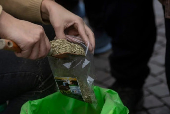 Buenos Aires, Argentina.- En las fotos, productores yerbateros de la provincia de Misiones plantaron yerba frente al Obelisco, para llamar la atención sobre la crisis en el sector, tras reunirse con autoridades nacionales en la Casa Rosada el 5 de junio del 2024. Los productores reclaman se designe una autoridad en el INYM (Instituto Nacional de la Yerba Mate) para poder “regular” precios, y que cese la importación del producto desde Brasil y el Paraguay.