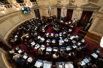 Buenos Aires, Argentina: In the photo of 12 June 2024, the debate on the Ley Bases in the Senate. The government decided to give in to pressure and removed the state-owned companies Aerolíneas Argentina, Correo Argentino and RTA from the privatisation list. In addition, the government also eliminated the pension chapter, so that potential beneficiaries will be able to continue retiring without 30 years of contributions.