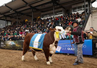 Buenos Aires, Argentina.- In the photos, the Minister of Foreign Affairs, Diana Mondino, participates in the Palermo Rural Exposition in Buenos Aires, Argentina on July 22, 2024. The consecration of the first Grand Champions at the Rural Expo 2024 It started with the Braford breed. The Male Grand Champion went to “Pehuajó”, from the Los Orígenes cabin, in El Riachuelo, Corrientes. As for the females, the Grand Champion went to a specimen from the Santa Fe ranch Los Guasunchos, from the Werthein Group, province of Buenos Aires.