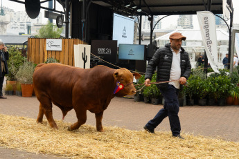 Buenos Aires, Argentina.- En las fotos, durante la 136° Exposición Rural de Palermo en Buenos Aires, Argentina. Desde el jueves pasado se realiza la mayor muestra del campo en la capital argentina, ofreciendo al público general una variedad de propuestas para que las familiares disfruten durante las vacaciones de invierno.