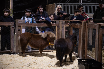 Buenos Aires, Argentina.- In the photos, people participate in the 136th edition of the Livestock, Agriculture and Industry Exhibition in Buenos Aires, Argentina, on July 19, 2024. The International Livestock, Agriculture and Industry Exhibition (Expo Rural), the most important fair in the sector in Argentina, opened its doors this Thursday with a greater commitment to production as its motto in this 136th edition.