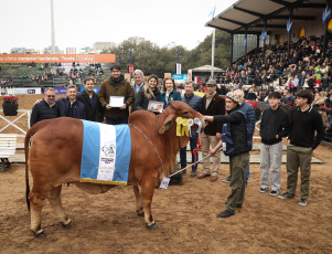 Buenos Aires, Argentina.- In the photos, the Minister of Foreign Affairs, Diana Mondino, participates in the Palermo Rural Exposition in Buenos Aires, Argentina on July 22, 2024. The consecration of the first Grand Champions at the Rural Expo 2024 It started with the Braford breed. The Male Grand Champion went to “Pehuajó”, from the Los Orígenes cabin, in El Riachuelo, Corrientes. As for the females, the Grand Champion went to a specimen from the Santa Fe ranch Los Guasunchos, from the Werthein Group, province of Buenos Aires.