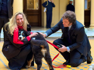 Buenos Aires, Argentina.- In the photo from August 20, 2024, President Javier Milei appeared this Tuesday with Thor, the new dog that his sister Karina Milei, the general secretary of the Presidency, adopted. In the video, the president is seen talking to the dog in the Patio de Las Palmeras, whom he guides with a red leash. “Look, that man is the one who films the movies, everything,” Milei is heard saying to the Bernese Mountain Dog, in a kind of presentation with the man who records the video that was spread on social networks. “Show him how you know the house where the uncle works,” the President added, laughing. In the brief tour, Thor sniffs every corner and tries to get closer to the greenest part of the sector. Behind, the President is accompanied by Karina Milei and the spokesperson, Manuel Adorni.